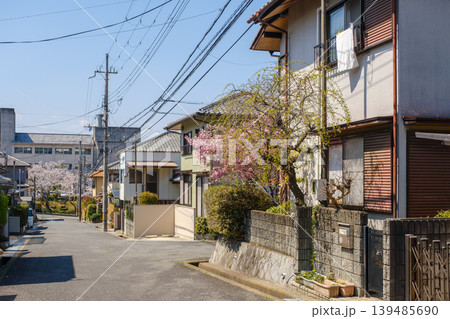 桜が咲く春の穏やかな住宅街:青空と坂道が続く日本の街並み 桜が咲く春の穏やかな住宅街:青空と坂道が続く日本の街並み 139485690
