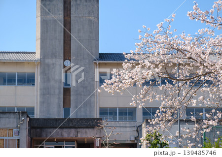 満開の桜に包まれた小学校の校舎：春の青空と時計台のある学び舎 139485746