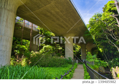 【横浜市】陣ケ下渓谷公園の上を通る高架橋 139485982