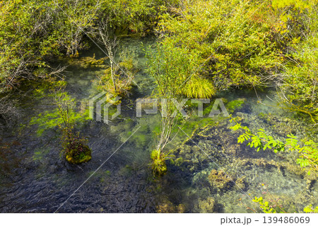 Beautiful Pearl Shoals Waterfall in Jiuzhaigou nature reserve (Jiuzhai Valley National Park),China. 139486069