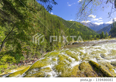 Beautiful Pearl Shoals Waterfall in Jiuzhaigou nature reserve (Jiuzhai Valley National Park),China. 139486081