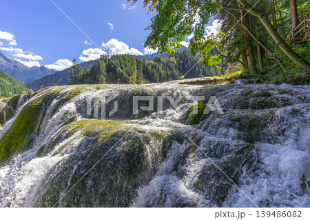 Beautiful Pearl Shoals Waterfall in Jiuzhaigou nature reserve (Jiuzhai Valley National Park),China. 139486082