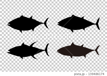 鰹魚、魚、輪廓、藍魚、海水魚、海洋、捕魚、海鮮、食材、洄游魚類、日本料理、日本菜、漁業、魚類插圖 139486174