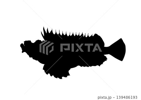オニオコゼのシルエットイラスト　危険な魚素材 139486193