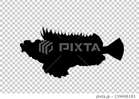 オニオコゼのシルエットイラスト　危険な魚素材 139486193