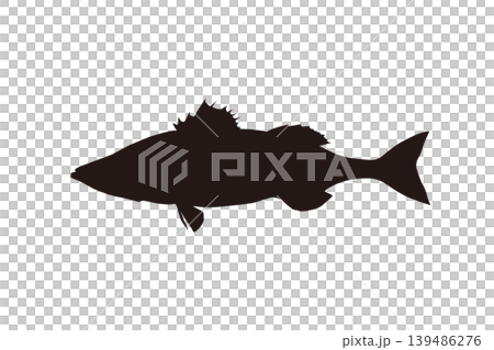 海鱸魚（鈴木）輪廓插圖 - 海釣類素材 139486276