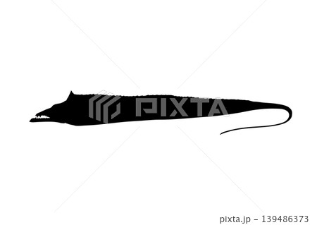 タチウオのシルエットイラスト 海釣り魚素材 タチウオのシルエットイラスト 海釣り魚素材 139486373