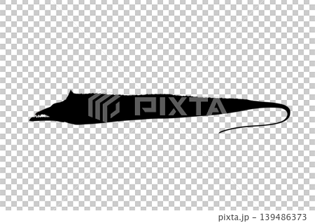 タチウオのシルエットイラスト 海釣り魚素材 タチウオのシルエットイラスト 海釣り魚素材 139486373