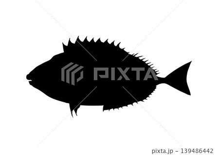 アイゴのシルエットイラスト　危険な魚素材 139486442
