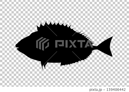 アイゴのシルエットイラスト　危険な魚素材 139486442
