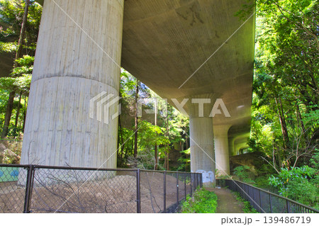 【横浜市】陣ケ下渓谷公園の上を通る高架橋 139486719