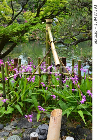 初夏の日本庭園 初夏の日本庭園 139487393