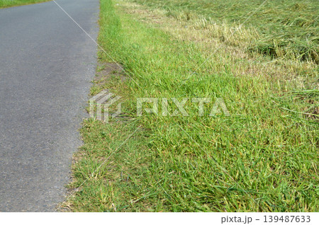 道沿いの草刈り 道沿いの草刈り 139487633