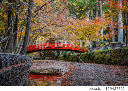 森町の遠江国一宮小國神社の紅葉の風景(静岡県) 森町の遠江国一宮小國神社の紅葉の風景(静岡県) 139487802