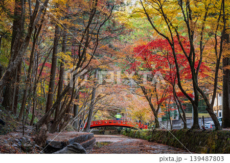 森町の遠江国一宮小國神社の紅葉の風景(静岡県) 森町の遠江国一宮小國神社の紅葉の風景(静岡県) 139487803