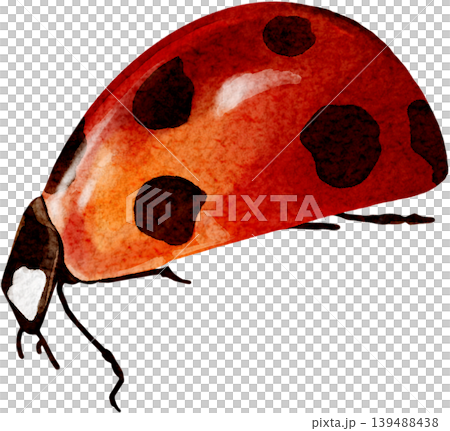 A clipart of a ladybug, an isolated illustration. A beautiful hand-drawn watercolor insect. A clipart of a ladybug, an isolated illustration. A beautiful hand-drawn watercolor insect. 139488438