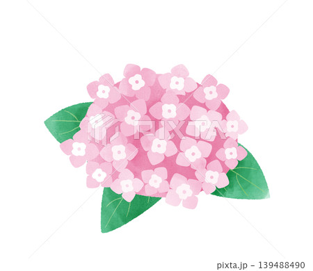 水彩風のピンクの紫陽花イラスト デフォルメデザイン 背景透過素材 水彩風のピンクの紫陽花イラスト デフォルメデザイン 背景透過素材 139488490