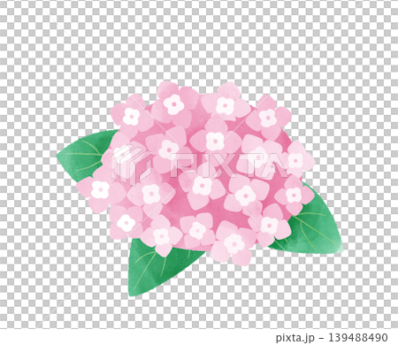 水彩風格的粉紅色繡球花插圖，風格化設計，透明背景。 139488490