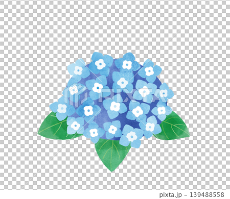 水彩風のブルーの紫陽花イラスト デフォルメデザイン 背景透過素材 水彩風のブルーの紫陽花イラスト デフォルメデザイン 背景透過素材 139488558