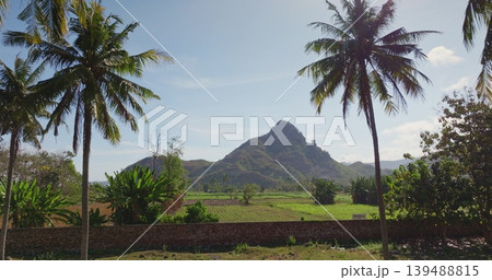 Lush green farmland and tropical vegetation with towering palm trees frame a rugged mountain under a clear blue sky, highlighting the serene beauty of the Indonesian island Lombok. Low angle flight Lush green farmland and tropical vegetation with towering palm trees frame a rugged mountain under a clear blue sky, highlighting the serene beauty of the Indonesian island Lombok. Low angle flight 139488815