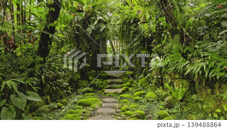 Mossy stepping stones winding through a lush green tropical jungle garden in Bali, creating a serene and peaceful pathway surrounded by dense foliage and natural arch window. Nature background Mossy stepping stones winding through a lush green tropical jungle garden in Bali, creating a serene and peaceful pathway surrounded by dense foliage and natural arch window. Nature background 139488864