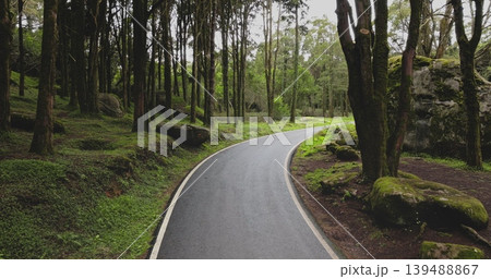 Winding asphalt road in lush, green forest with tall trees and moss covered rocks in Sintra Cascais Natural Park, evoking sense of exploration and peaceful journey through nature. Drone shot zoom out Winding asphalt road in lush, green forest with tall trees and moss covered rocks in Sintra Cascais Natural Park, evoking sense of exploration and peaceful journey through nature. Drone shot zoom out 139488867