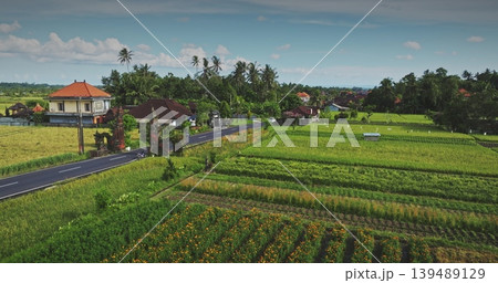 Indonesia tropical rural landscape with green rice paddies, traditional Balinese houses, and winding road, capturing the serene agricultural heart of Bali village. Aerial view drone flight panorama Indonesia tropical rural landscape with green rice paddies, traditional Balinese houses, and winding road, capturing the serene agricultural heart of Bali village. Aerial view drone flight panorama 139489129