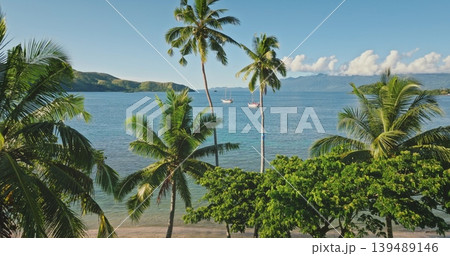 Tropical beach in Fiji featuring lush green palm trees swaying along the shoreline with two sailboats anchored in the turquoise ocean, framed by distant islands under a clear blue sky Tropical beach in Fiji featuring lush green palm trees swaying along the shoreline with two sailboats anchored in the turquoise ocean, framed by distant islands under a clear blue sky 139489146