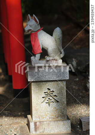 森に佇む稲荷神社 森に佇む稲荷神社 139489437