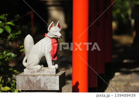 森に佇む稲荷神社 森に佇む稲荷神社 139489439