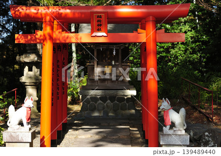 森に佇む稲荷神社 139489440