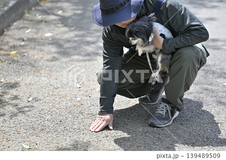 愛犬とお散歩 温度は大丈夫かな? 地面の温度を手で確認する男性 愛犬とお散歩 温度は大丈夫かな? 地面の温度を手で確認する男性 139489509