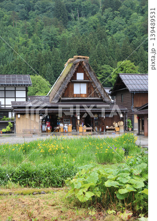 曇天の春の白川郷 139489531
