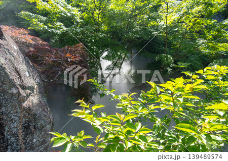 Misted garden of Daisho-in Temple on Miyajima Island, Japan Misted garden of Daisho-in Temple on Miyajima Island, Japan 139489574
