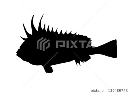 ハオコゼのシルエットイラスト 危険な魚素材 ハオコゼのシルエットイラスト 危険な魚素材 139489748