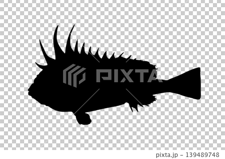 ハオコゼのシルエットイラスト 危険な魚素材 ハオコゼのシルエットイラスト 危険な魚素材 139489748