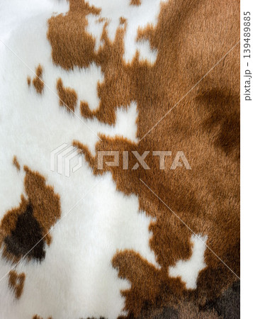 This design features a natural cowhide fur texture in brown and white. The spotted pattern can be used for rustic decor or fashion items. It showcases a unique blend of colors and shapes. This design features a natural cowhide fur texture in brown and white. The spotted pattern can be used for rustic decor or fashion items. It showcases a unique blend of colors and shapes. 139489885