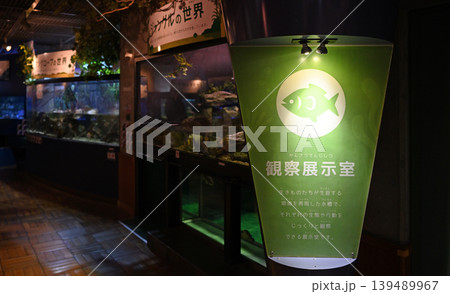 幻想的な観察展示室　足立区生物園の静寂な水槽と没入感のある癒やしの空間 139489967