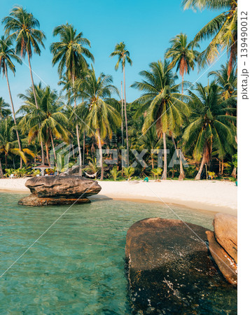 Tropical Beach Landscape with Rocks 139490012
