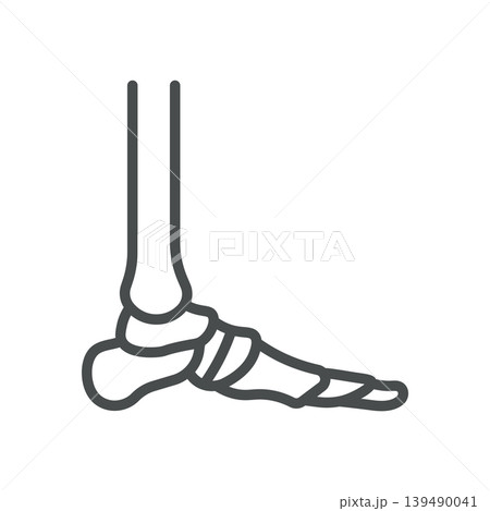 Foot Anatomy Icon. Thin Line Illustration of Ankle and Foot Bones, Representing Podiatry, Orthopedics, Skeleton Structure, and Medical Education. 139490041