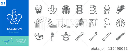 Human Skeleton Linear Icon Set. Thin Line Illustrations of Human Skeletal Bones and Joints Representing Anatomy, Orthopedics, Body Structure and Medical Healthcare Applications. Pixel Perfect Icons. Human Skeleton Linear Icon Set. Thin Line Illustrations of Human Skeletal Bones and Joints Representing Anatomy, Orthopedics, Body Structure and Medical Healthcare Applications. Pixel Perfect Icons. 139490051