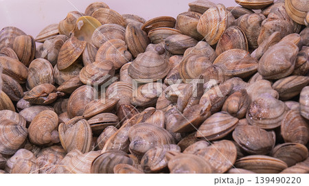 Fresh Clams, Fish Market, Spain Fresh Clams, Fish Market, Spain 139490220