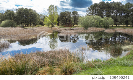 Lagunas de Cantalejo Special Protection Area, Spain 139490241