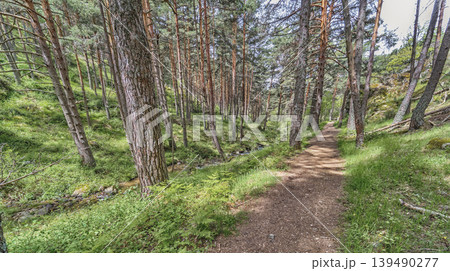 Azud del Acueducto Hiking Route, Sierra de Guadarrama National Park, Spain 139490277
