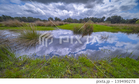 Lagunas de Cantalejo Special Protection Area, Spain 139490278