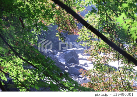 川のある風景 川のある風景 139490301