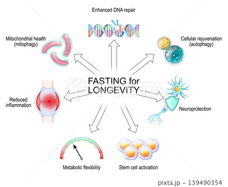 Fasting and Longevity benefits. Caloric restriction effects. Fasting and Longevity benefits. Caloric restriction effects. 139490354
