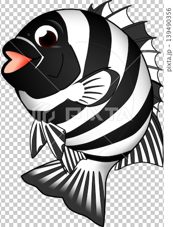 かわいい魚イラスト　「イシダイ」　ベクター形式　白背景(pngは背景透過)・単体 139490356