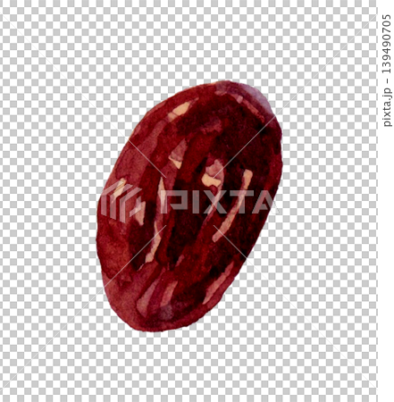レーズン・干し葡萄(単品) 手描き水彩イラスト素材 レーズン・干し葡萄(単品) 手描き水彩イラスト素材 139490705