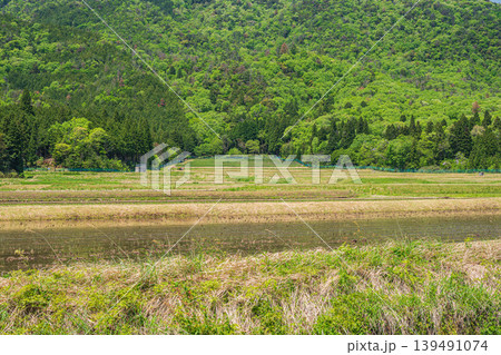 奥琵琶湖の田園風景 滋賀県長浜市西浅井町 奥琵琶湖の田園風景 滋賀県長浜市西浅井町 139491074